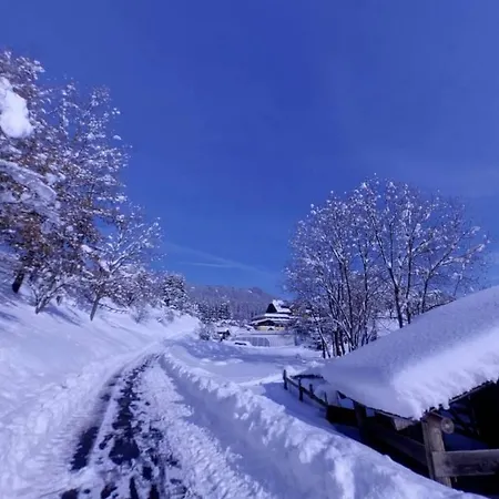 Karnischer Hof فندق Sankt Stefan an der Gail