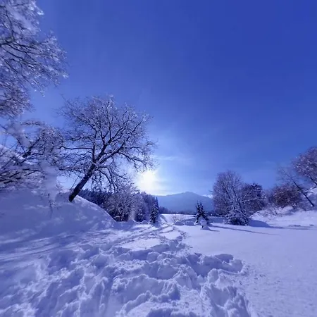 Karnischer Hof فندق