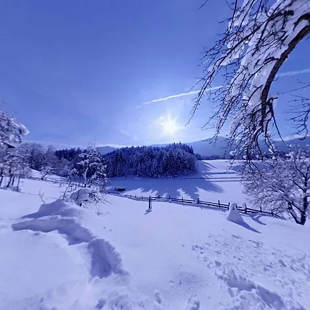 Karnischer Hof فندق 3*