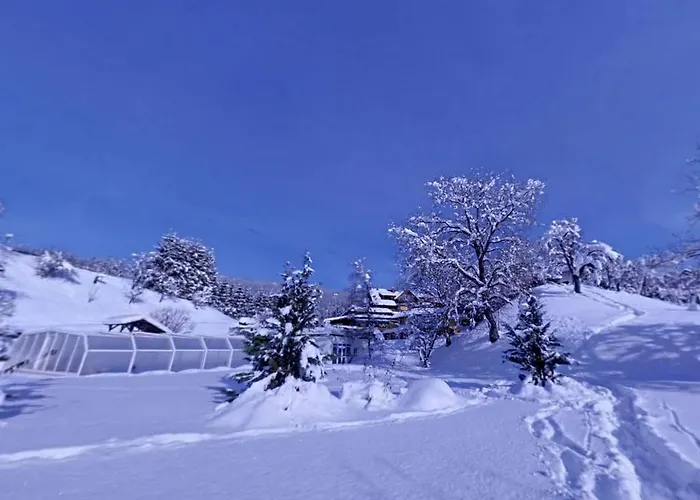 Karnischer Hof Sankt Stefan an der Gail