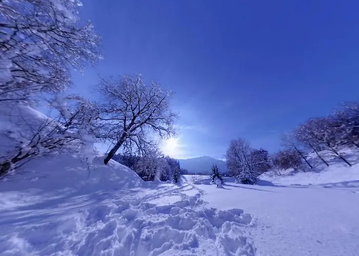 Karnischer Hof Hotel