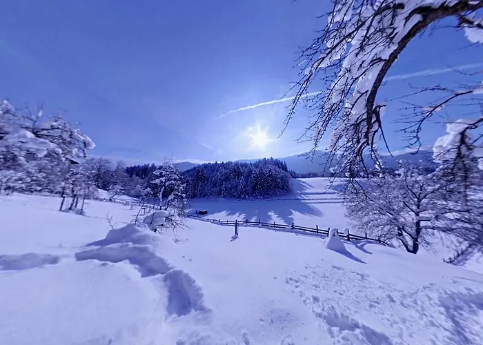 Karnischer Hof Hotel 3*