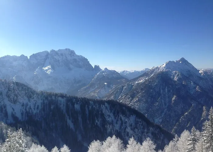 Hotel Karnischer Hof 3*